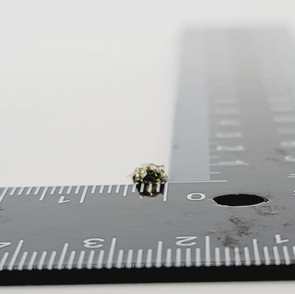 New Yellow Round Cut CZ Earrings - Picture 6 of 6